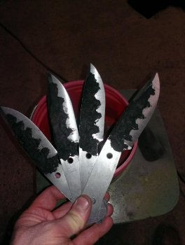 IMAG0472.jpg