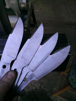 IMAG0485.jpg