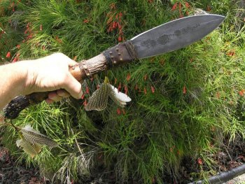 Elk Spike 016.jpg