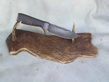Blackwood 004.jpg