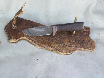 Blackwood 005.jpg
