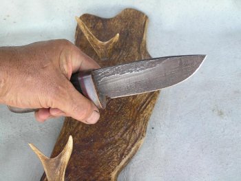 Blackwood 006.jpg