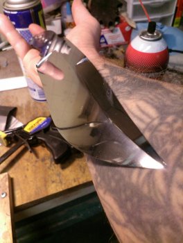 IMAG0765.jpg