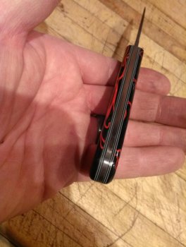IMAG0777.jpg