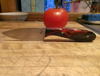IMAG0779.jpg
