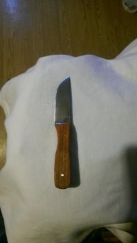 IMAG0167.jpg