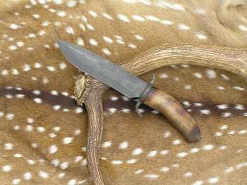 Elk Tine Bowie 001.jpg