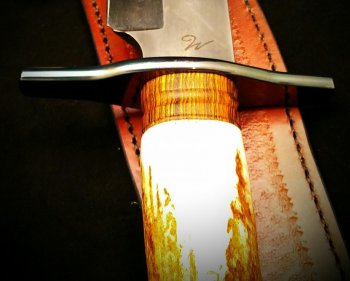 IMAG0230_1.jpg