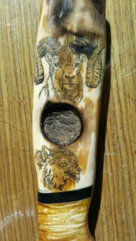 20160207_124603_resized_1.jpg
