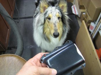 phone 004.jpg