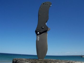 zt5.jpg