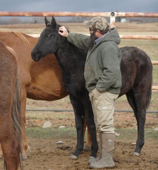 Brian'sHorse30Oct18_1[149].jpg