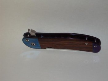 blu-4.jpg