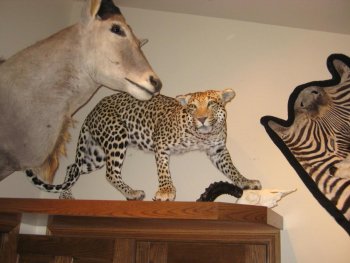 trophy 006.jpg