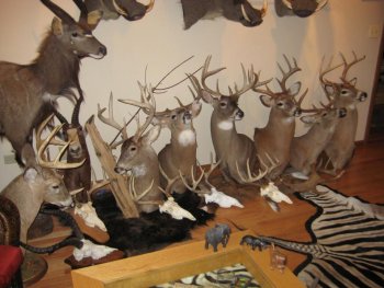 trophy 013.jpg