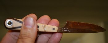 IMG_1937.jpg