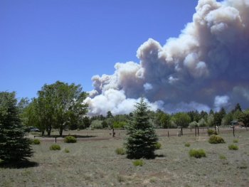 shultz fire 1.jpg