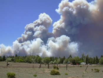 shultz fire 2.jpg