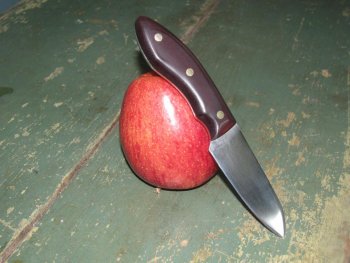 143.jpg