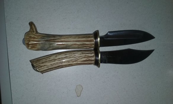 001 ANTLER.jpg
