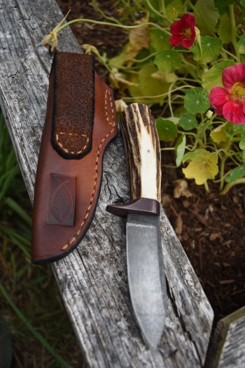 Stag Skinner Reverse.jpg