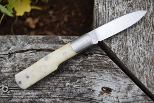 Gunstock reverse.jpg