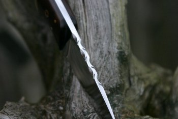 5.JPG