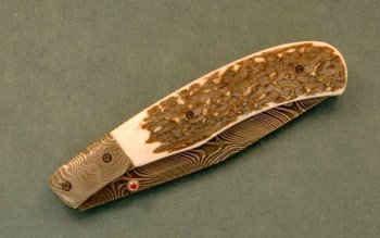 stag-folder-2.jpg