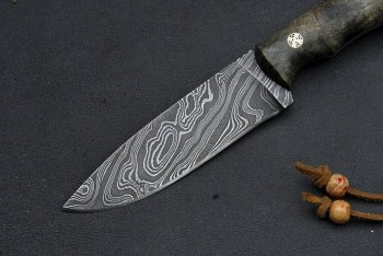 The BEAST 066.jpg