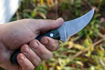 hhh knives. sharpfinger 082.jpg