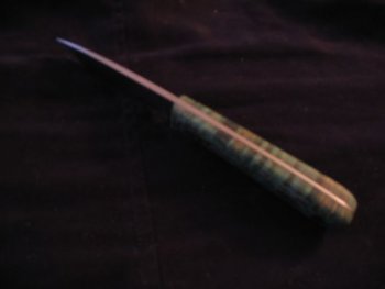 BT proto spine.JPG