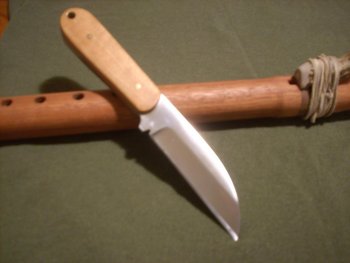 DSCI0381.jpg