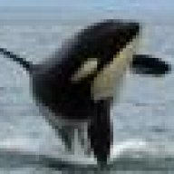 ORCA