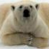 RoundBear